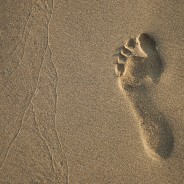 Arbonne – What goes on our body goes in our body