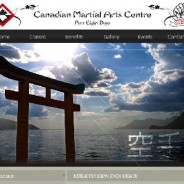 Karate Demonstrations at Community Wellness Day